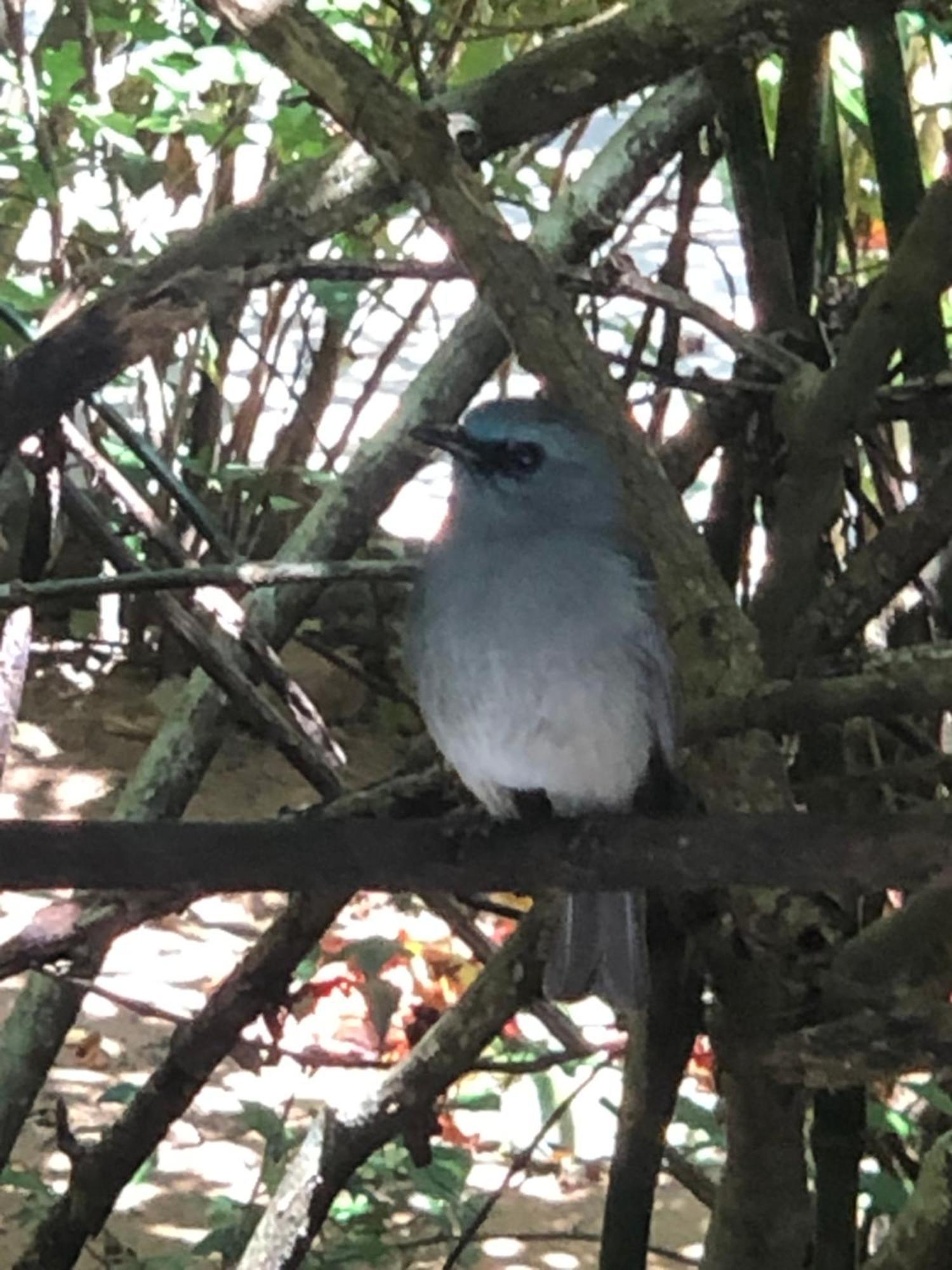 Surrey Bird Sanctuary & Holiday Resort Welimada Exteriör bild