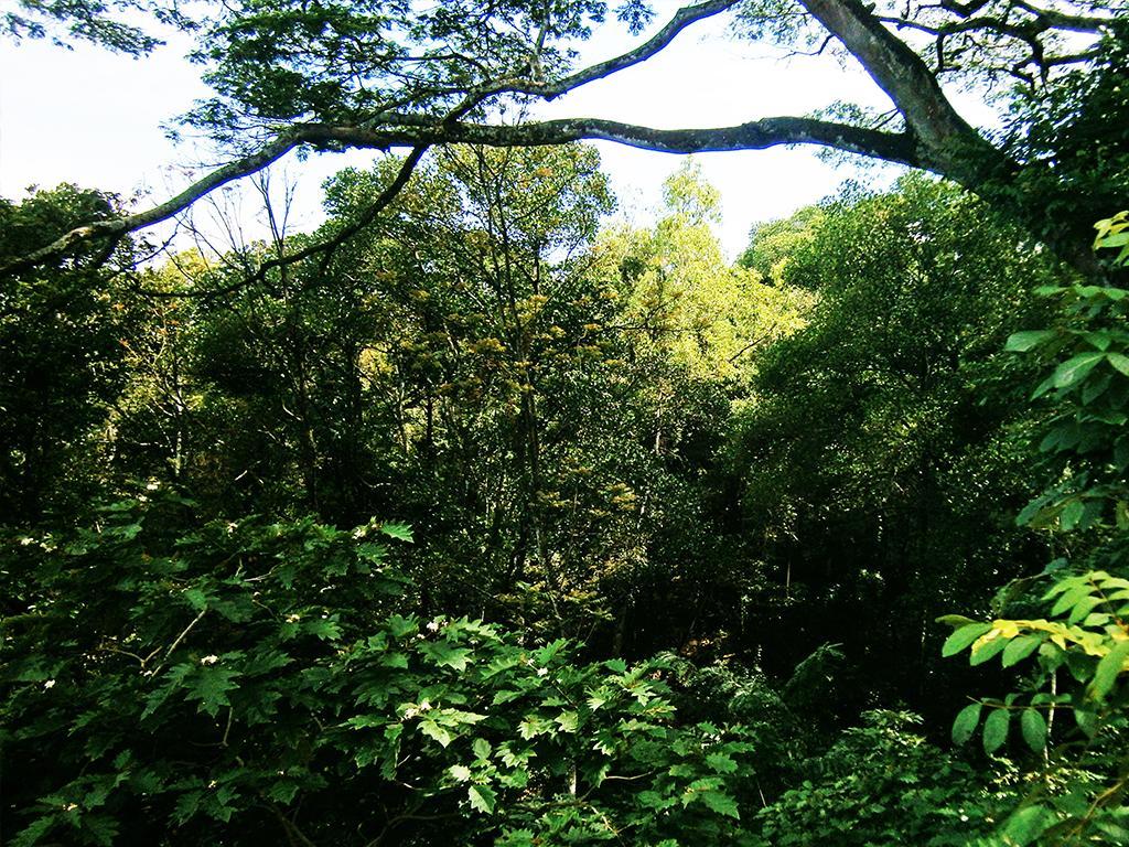 Surrey Bird Sanctuary & Holiday Resort Welimada Exteriör bild